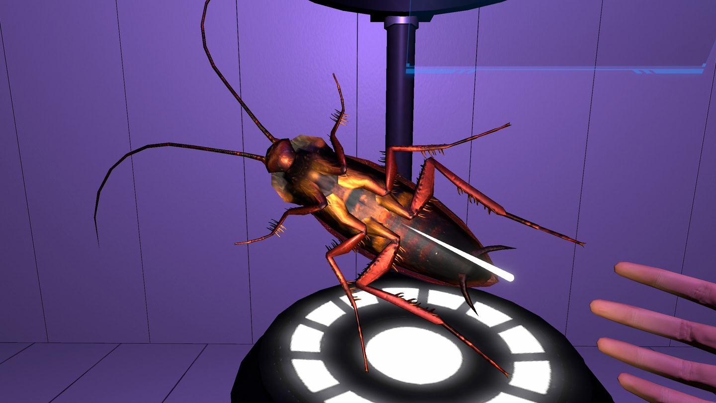 #4. FEAR OF BUGS 2 (Meta) Podle: GOODVISION CORPORATION