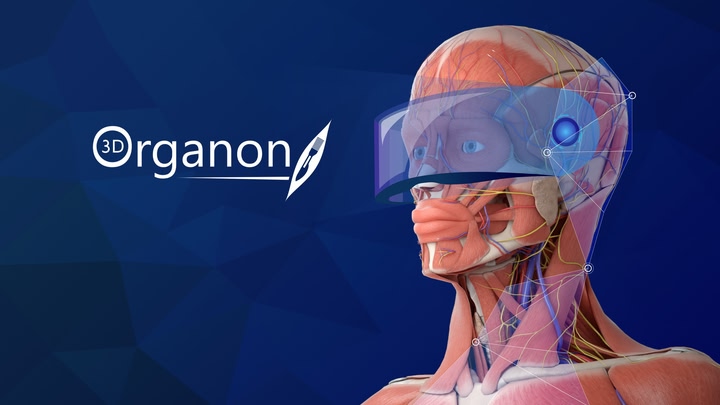 3D Organon XR
