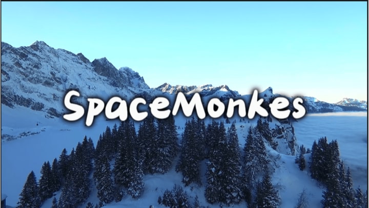 SpaceMonkes