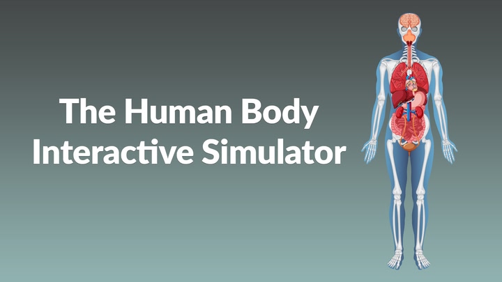 The Human Body Interactive Simulator
