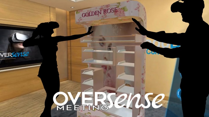 Oversense Meeting