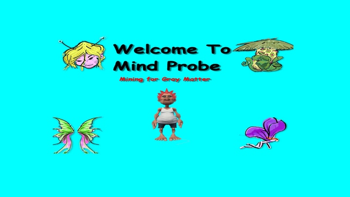 Mindprobe VR
