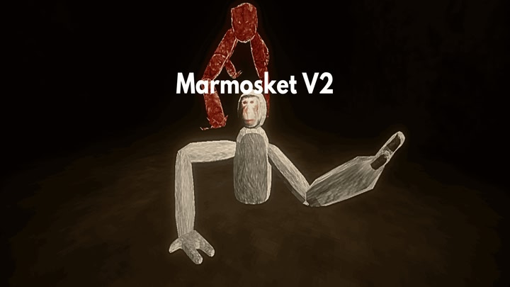Marmosket V2